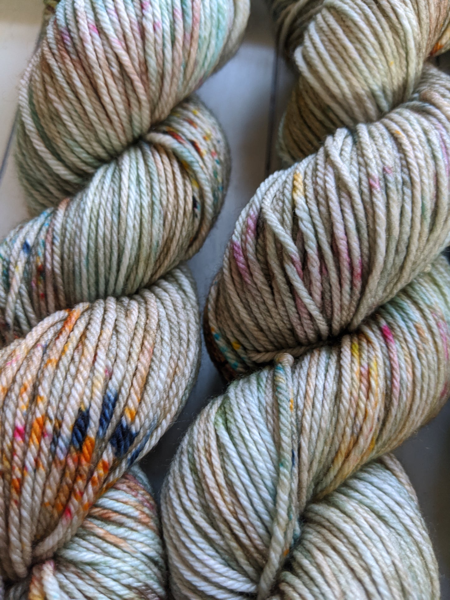 Curiosity - Birch Hollow Fibers
