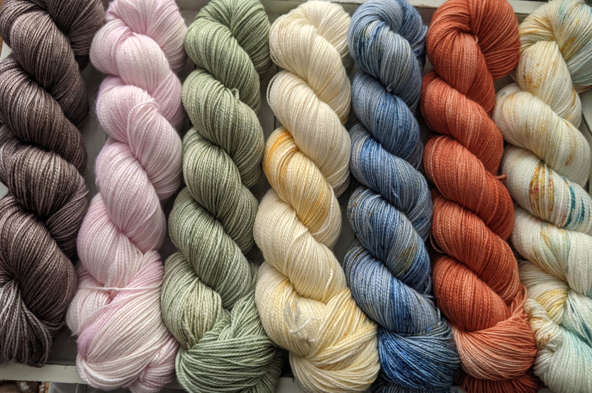Petal - Birch Hollow Fibers