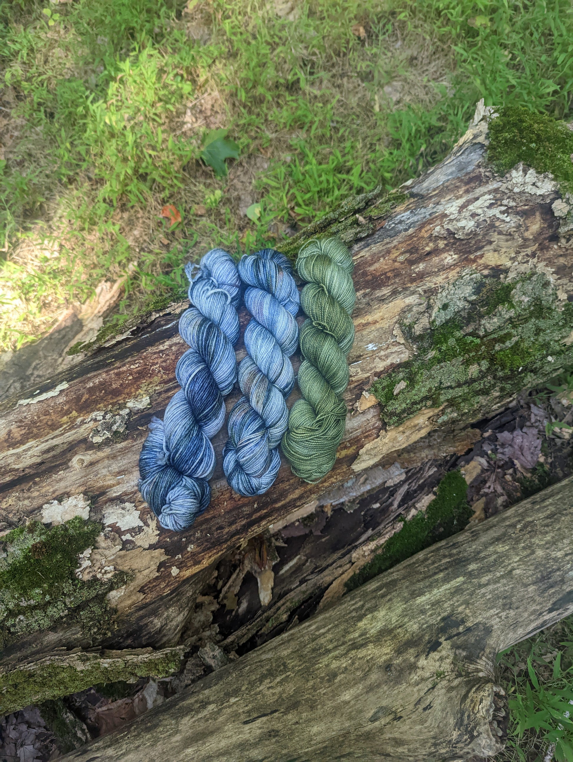 Berry Picking - Birch Hollow Fibers