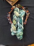 Into the Woods - Birch Hollow Fibers